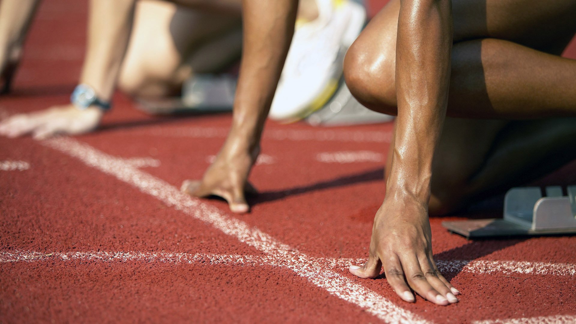 绿色环保场馆效果明显，行业持续践行可持续发展战略，绿色环保设施