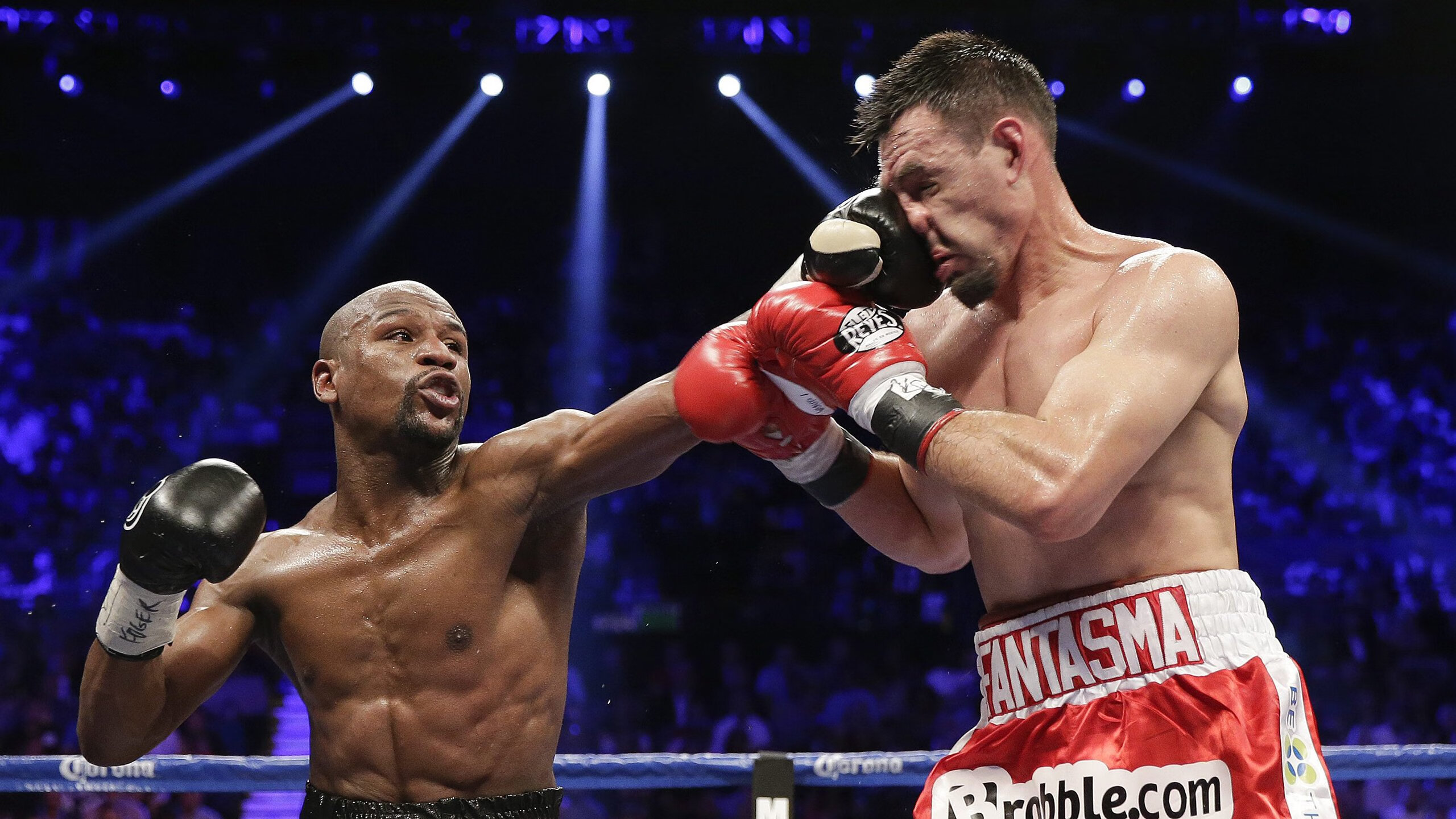 爱游戏娱乐-美国马术协会举办国际马术科技大会，推动行业技术交流与合作。